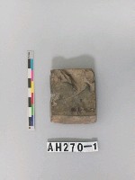 藏品(磨製有段石錛)的圖片